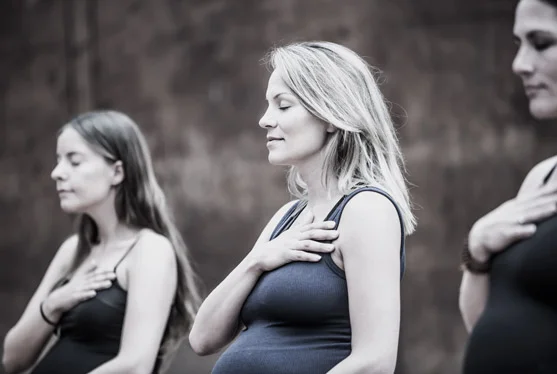 gravid_5.jpg