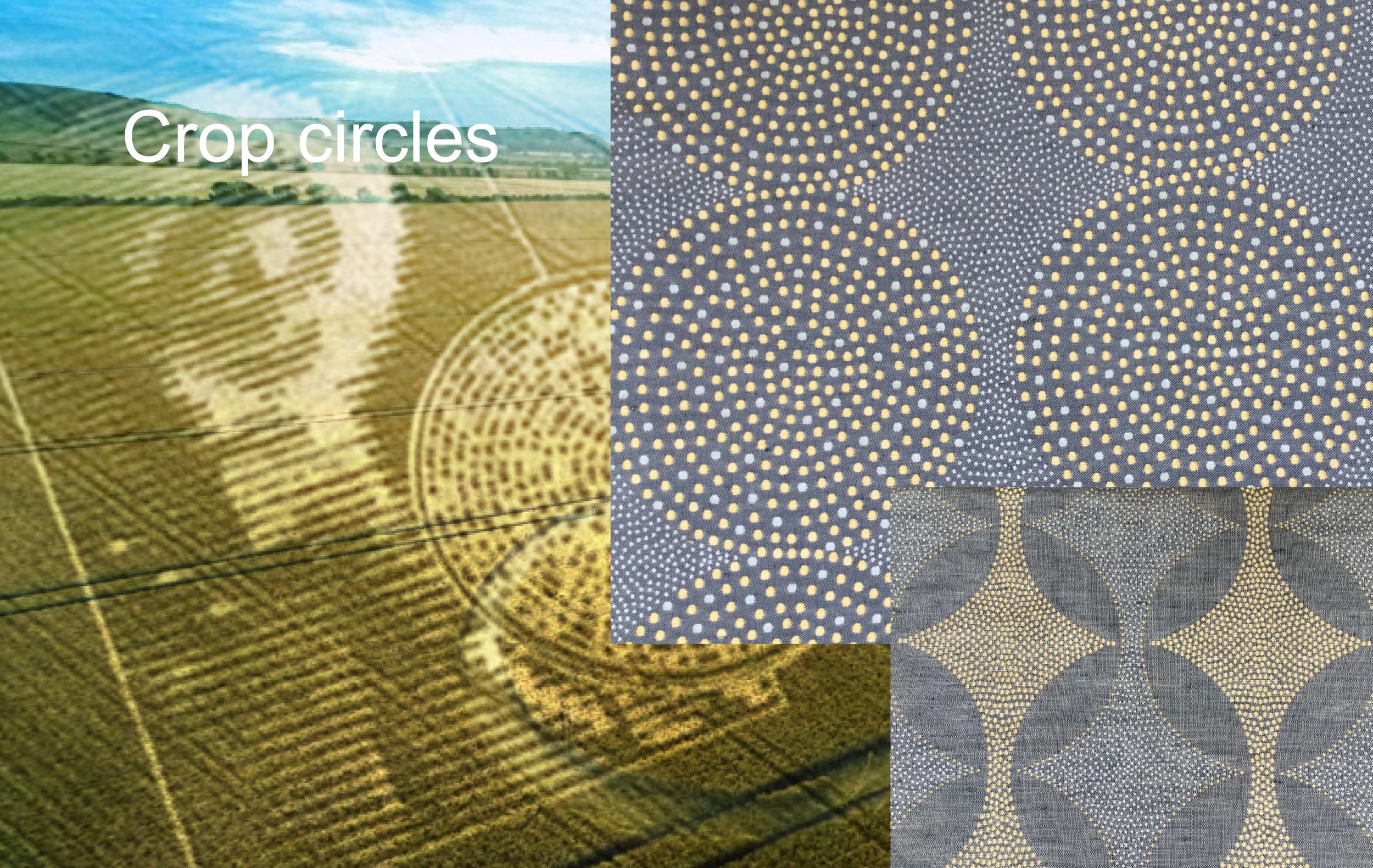 Crop circles photo.JPG