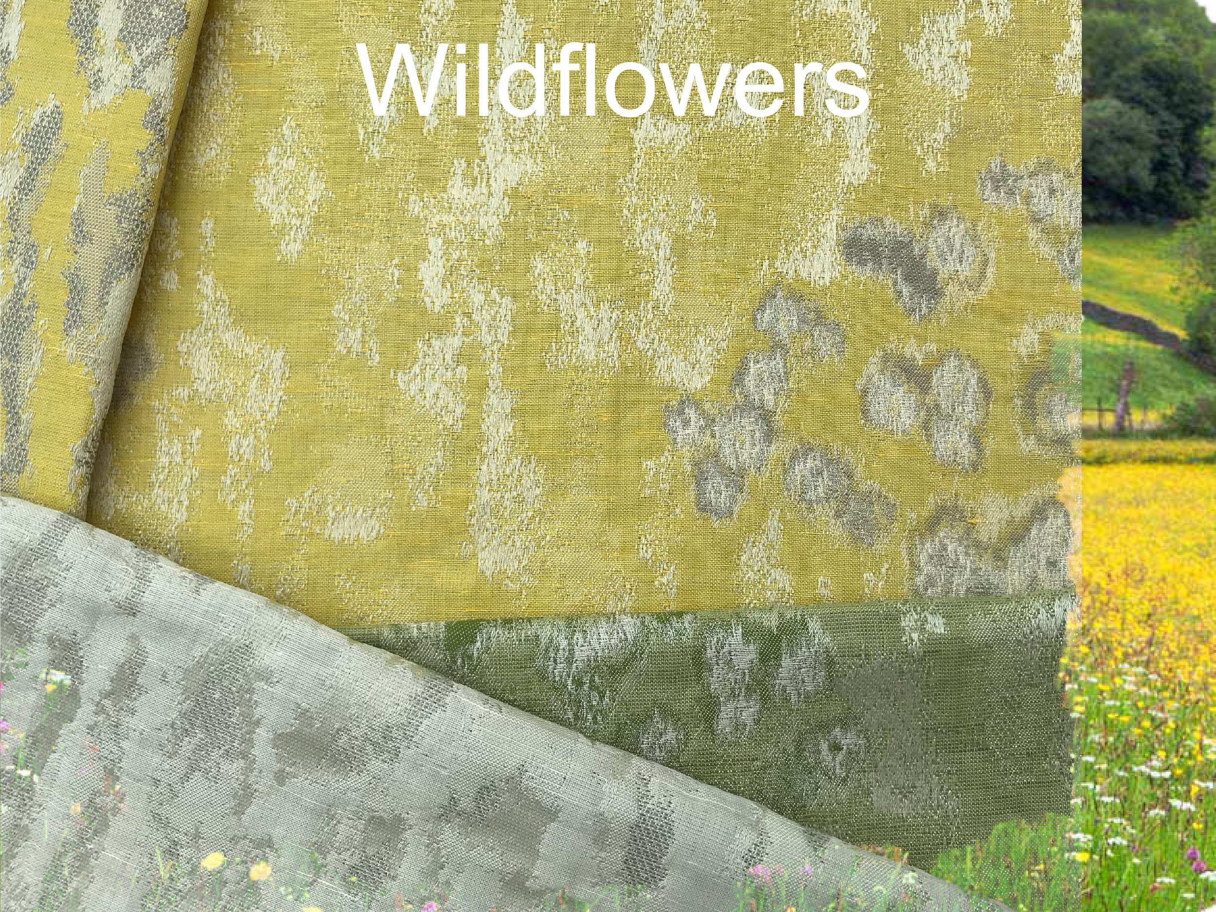 Wildflower photo.JPG