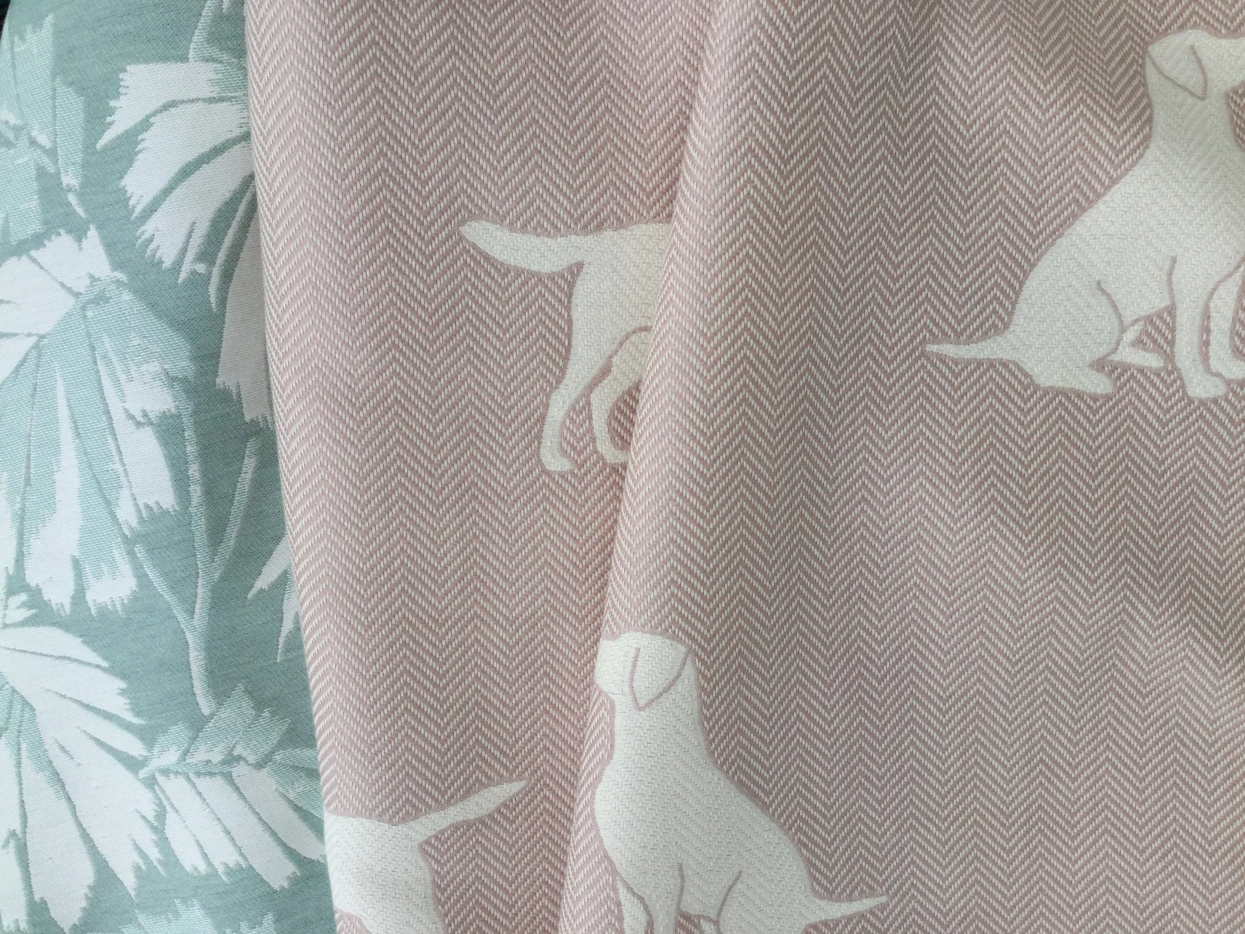 Monsoon and Kipling.JPG