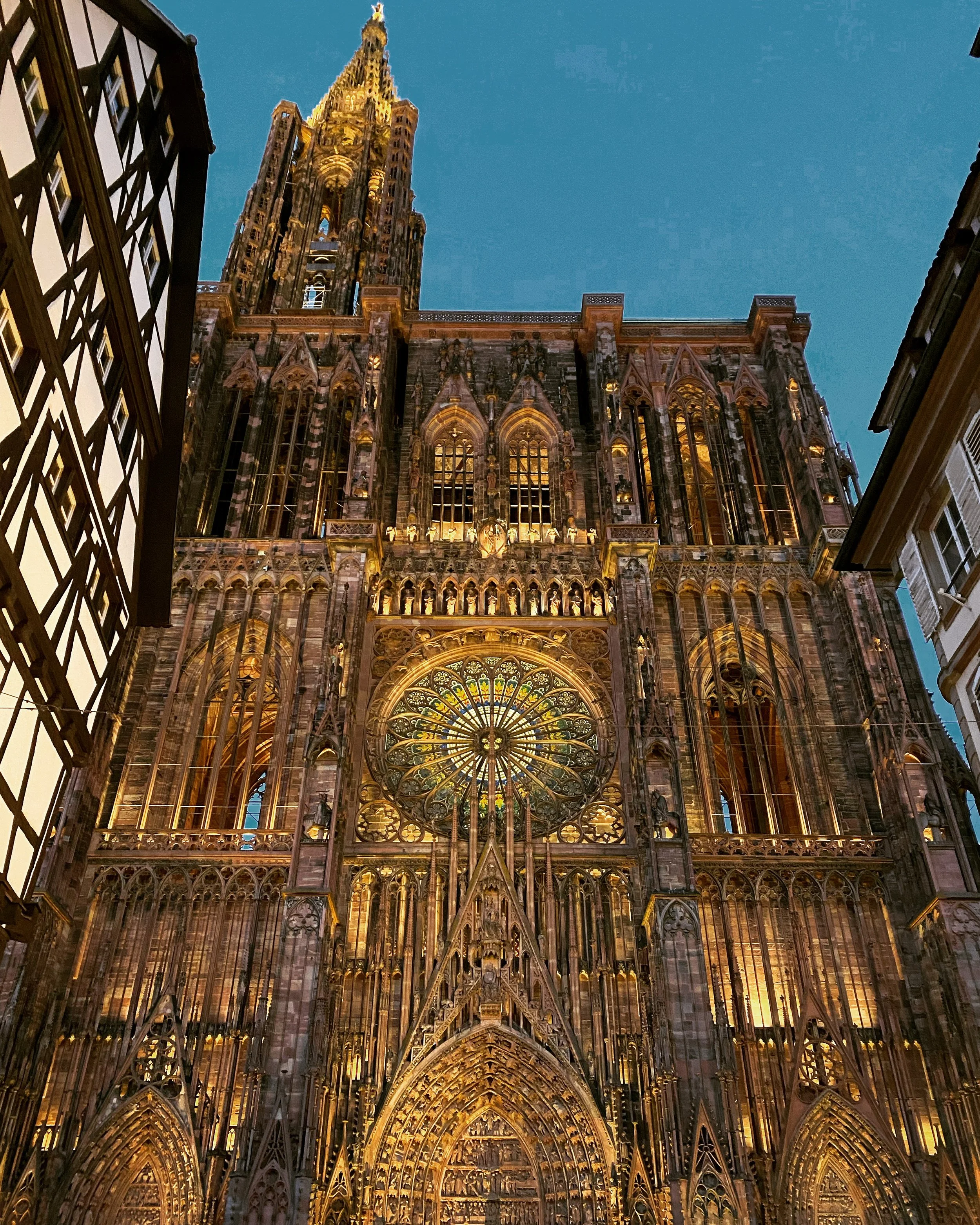 Adventus 2022 du 3 décembre au 25 décembre une nouvelle vidéo à découvrir 🎄