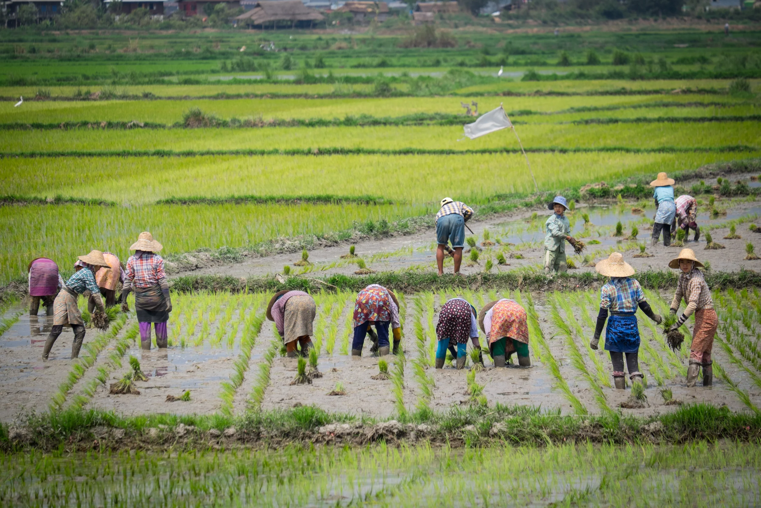 burma_.jpg