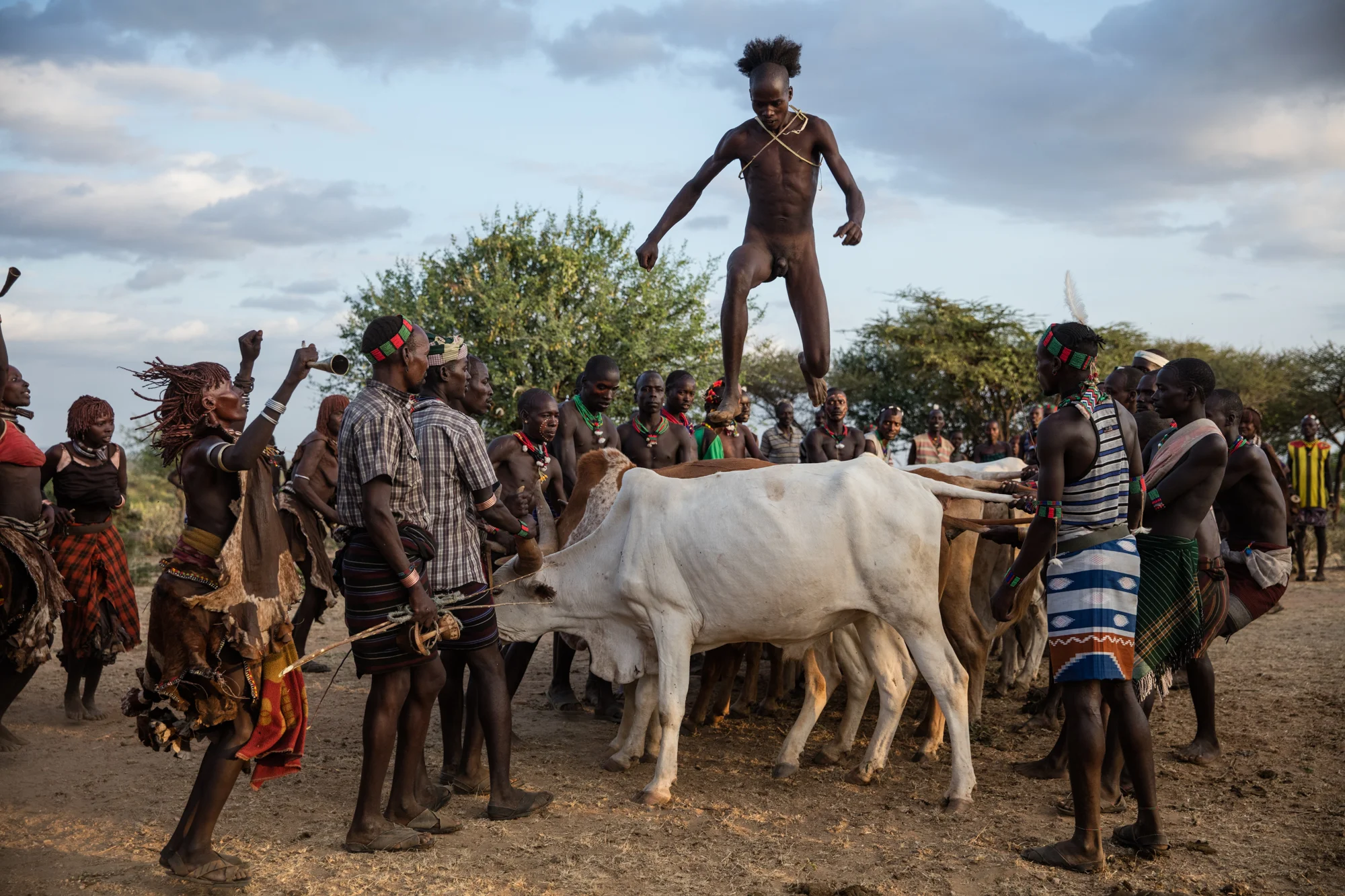 Bull Jumping