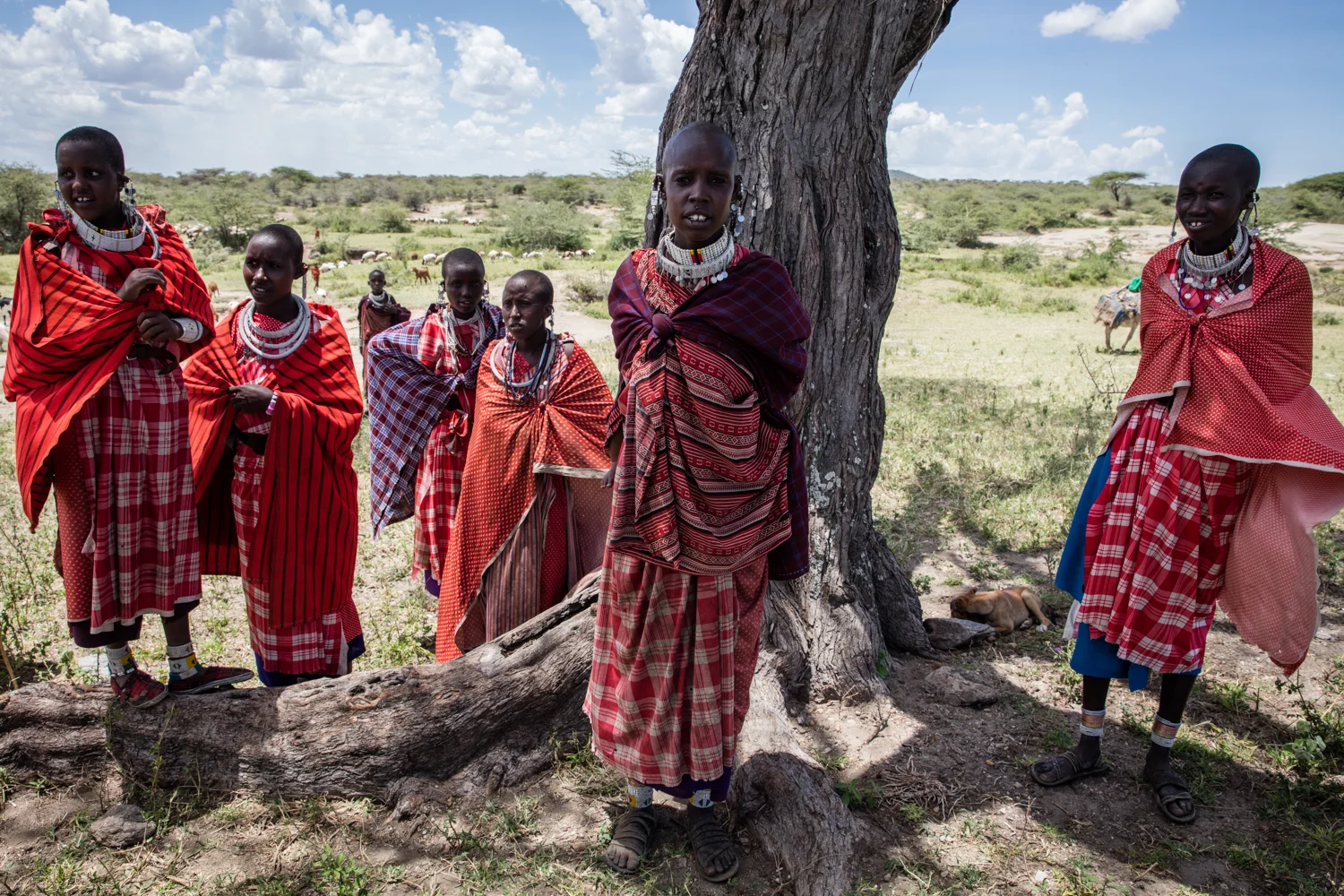 Tanzania -7.jpg