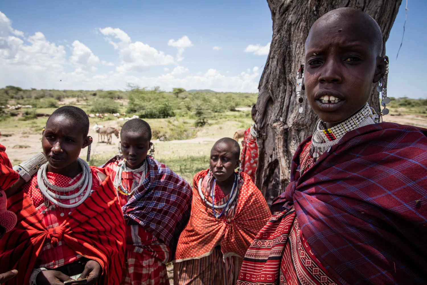 Tanzania 2016-26.jpg
