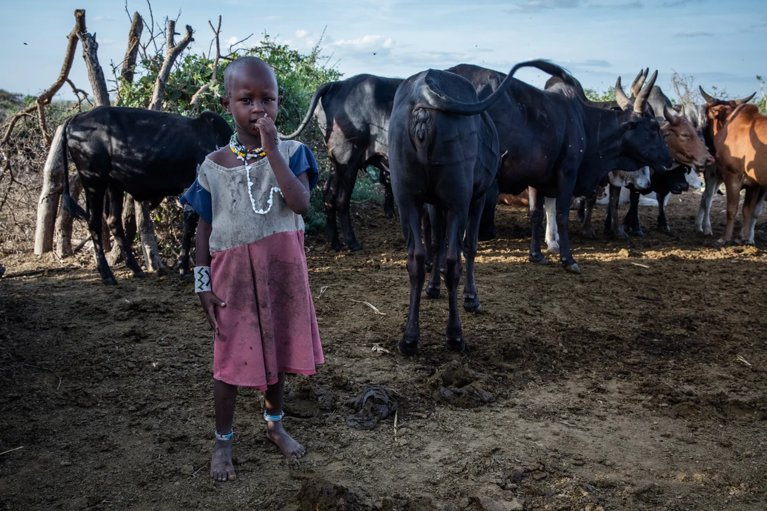 Tanzania 2-1.jpg