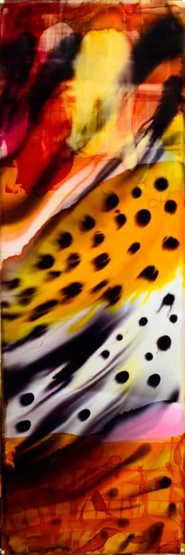 21433270_10155558349228405_8532804127804517974_n.jpg