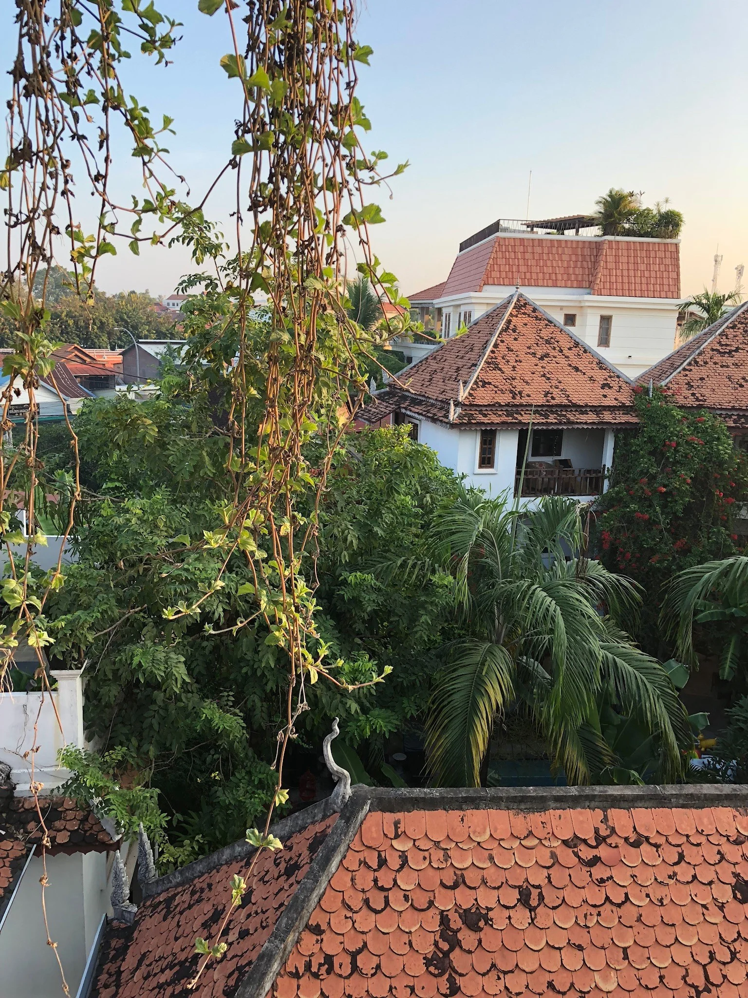 Rabutan(1).jpg
