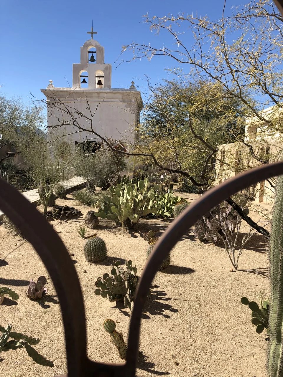 San Xavier: “The White Dove of the Desert”