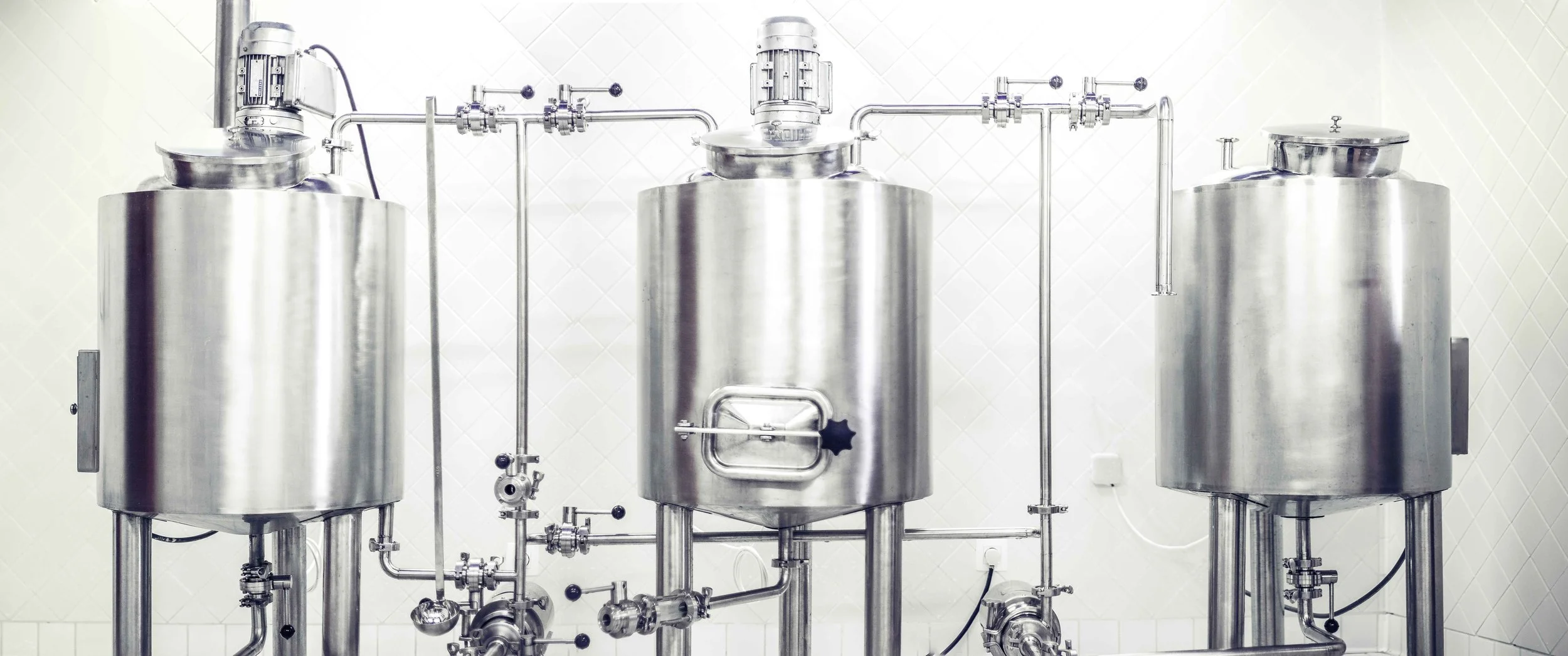  Our micro-brewery allowed us to brew around 75 liters per batch. It has been set up in order for you to see easily all of the different steps of the brewing process.