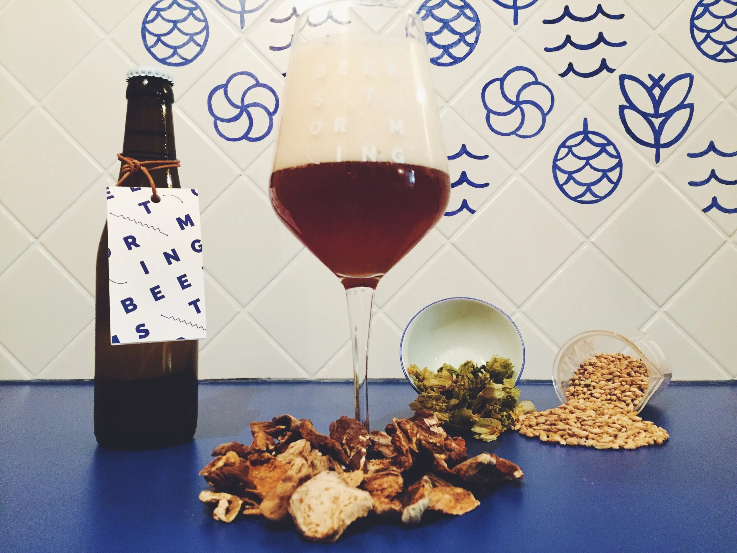 BS#0041 - Bière des Spores