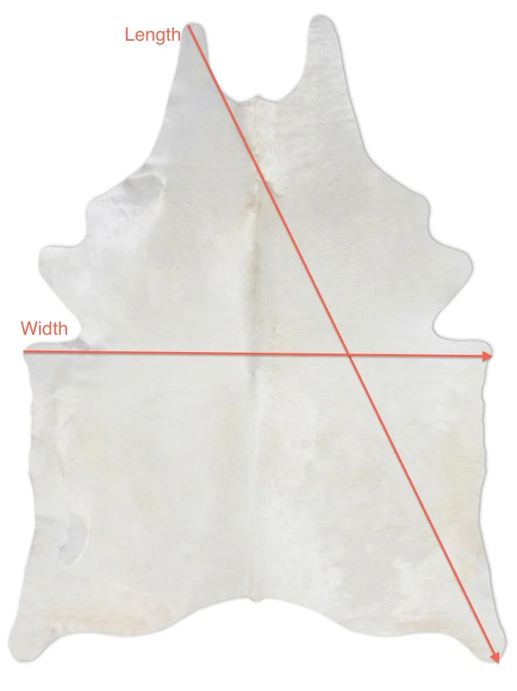 Diagram.jpg