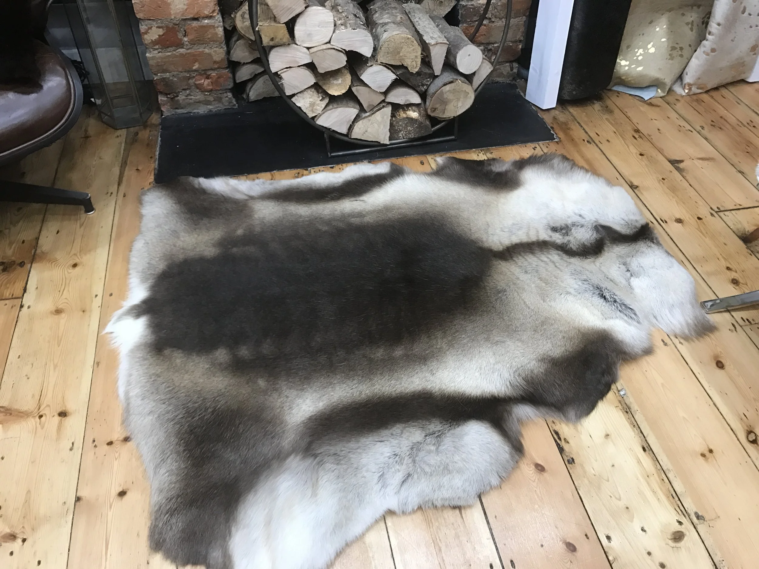 "Sergei" - A-Grade Russian Reindeer Hide