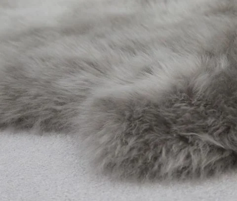 Close up - Vole Single.jpg
