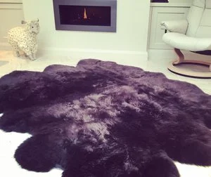 Burrow & Hide Sexto.jpeg