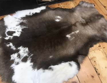 RUSSIAN REINDEER HIDES BY BURROW & HIDE