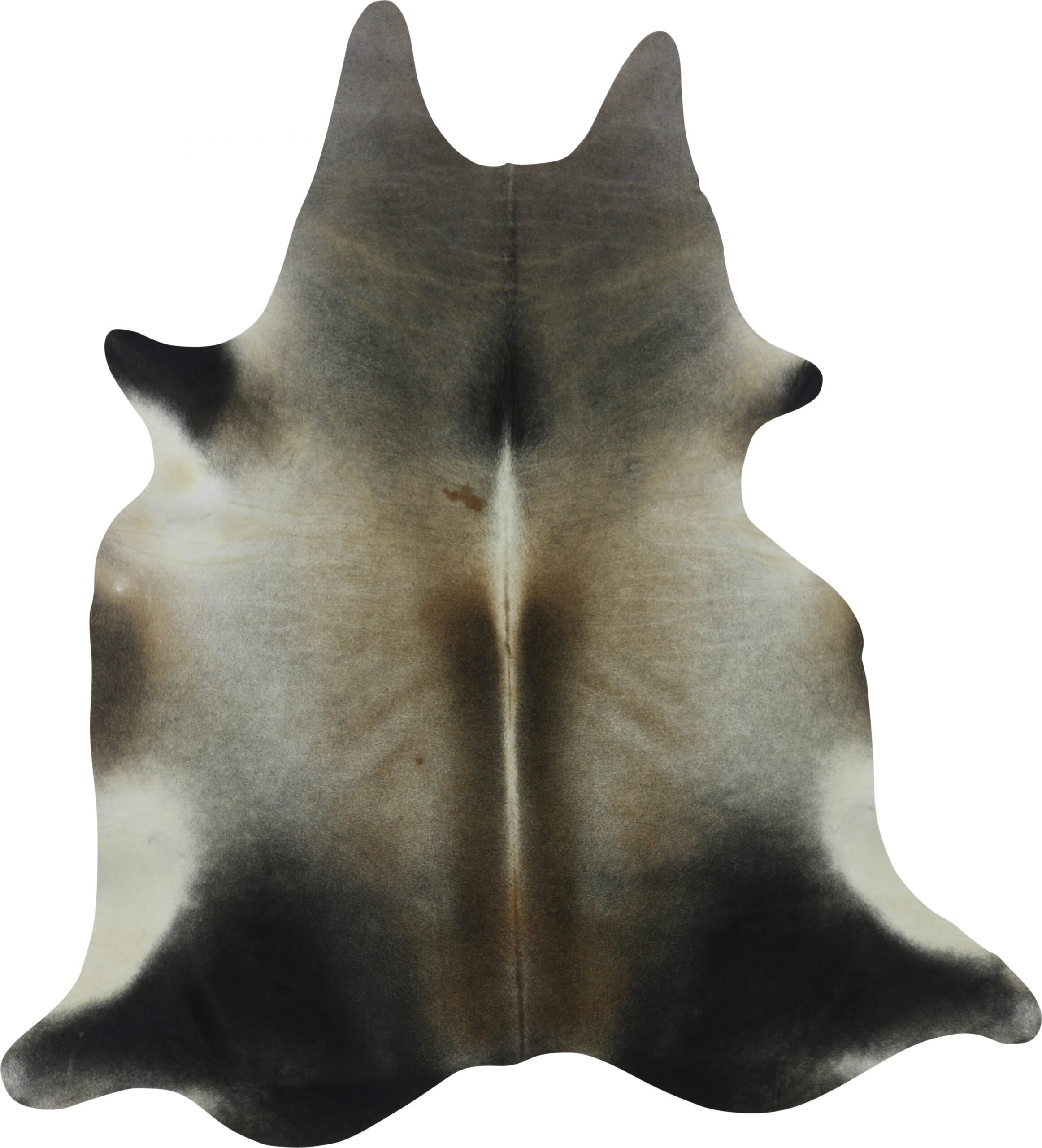 "Dotty" - Assorted Special Cowhide with white edging Medium Cowhide