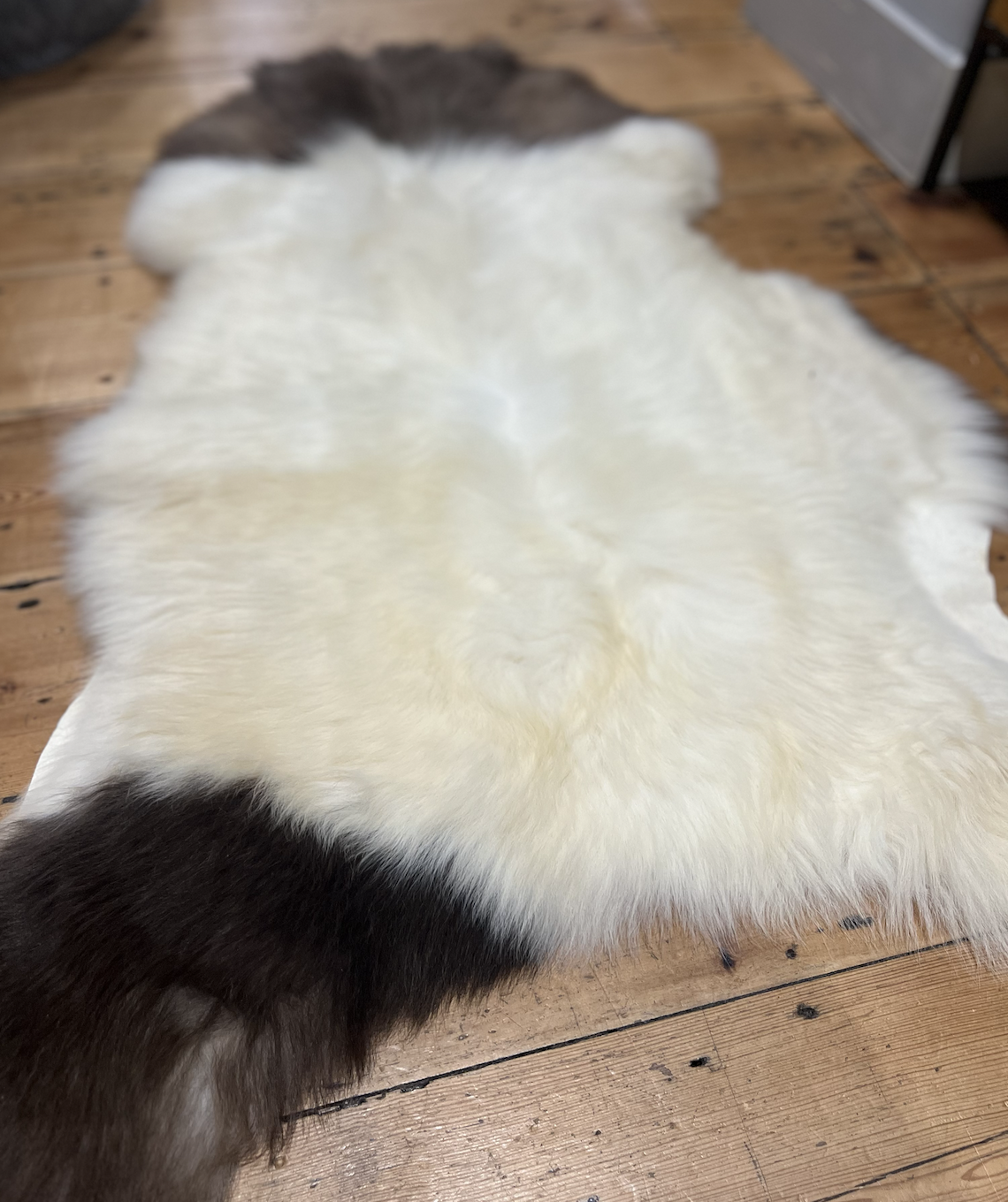 Burrow & Hide %22Leo%22 Rare Breed Sheepskin 2023-01-27 at 21.44.40.png