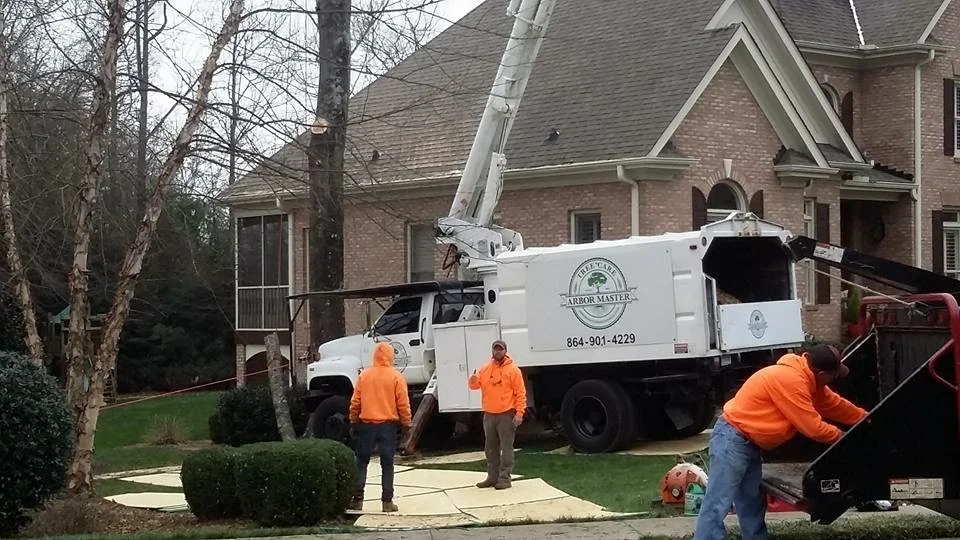 Gallery — Arbor Master Tree Care