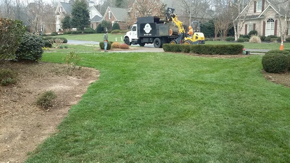 tree service