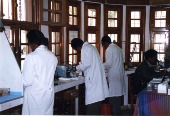 Madagascar Histo Lab.jpg
