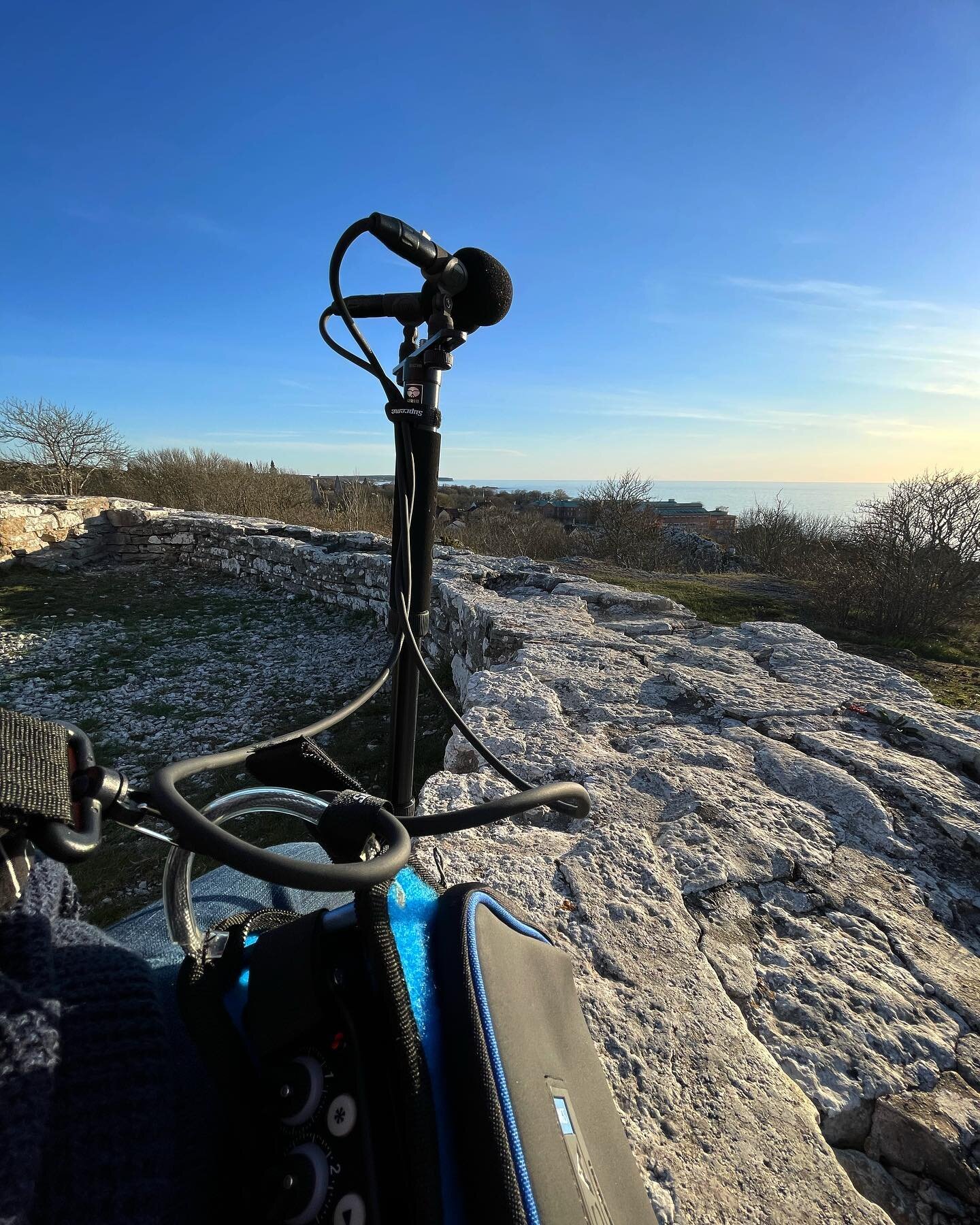 Great field recording session yesterday, sunny, almost no wind at all. #sounddevices #mixpre6ii #sennheiser #mkh8040 #hd25