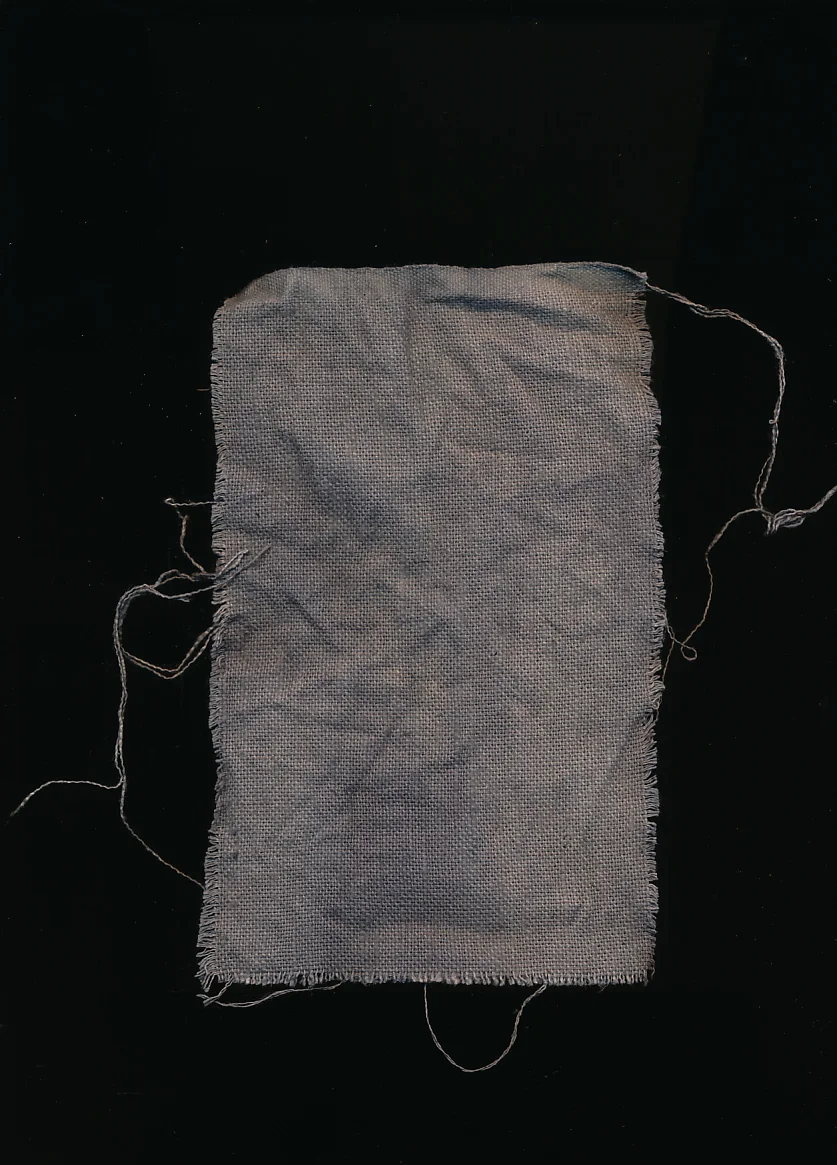 Canvas dyed in logwood.