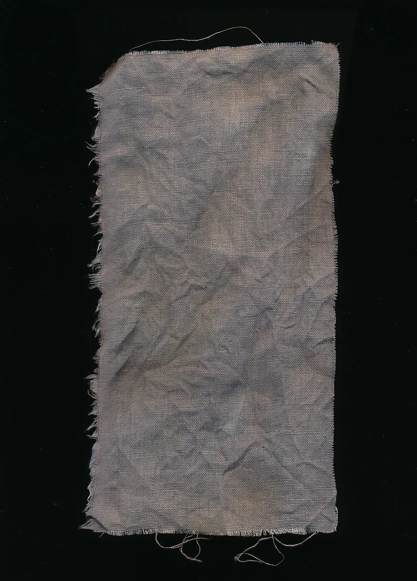 Cotton dyed in logwood.