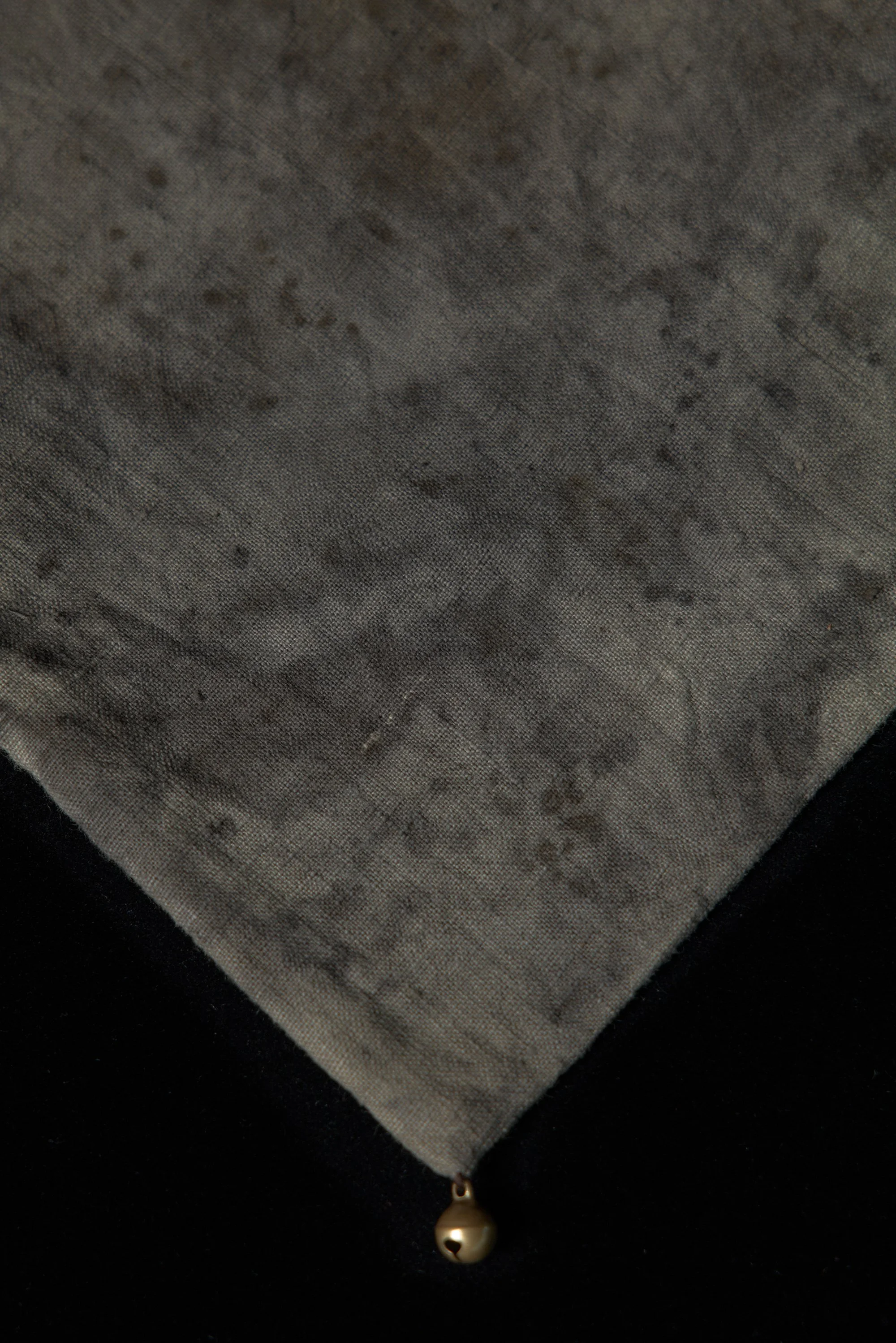 20260615_ProjectCoal_0608.jpg