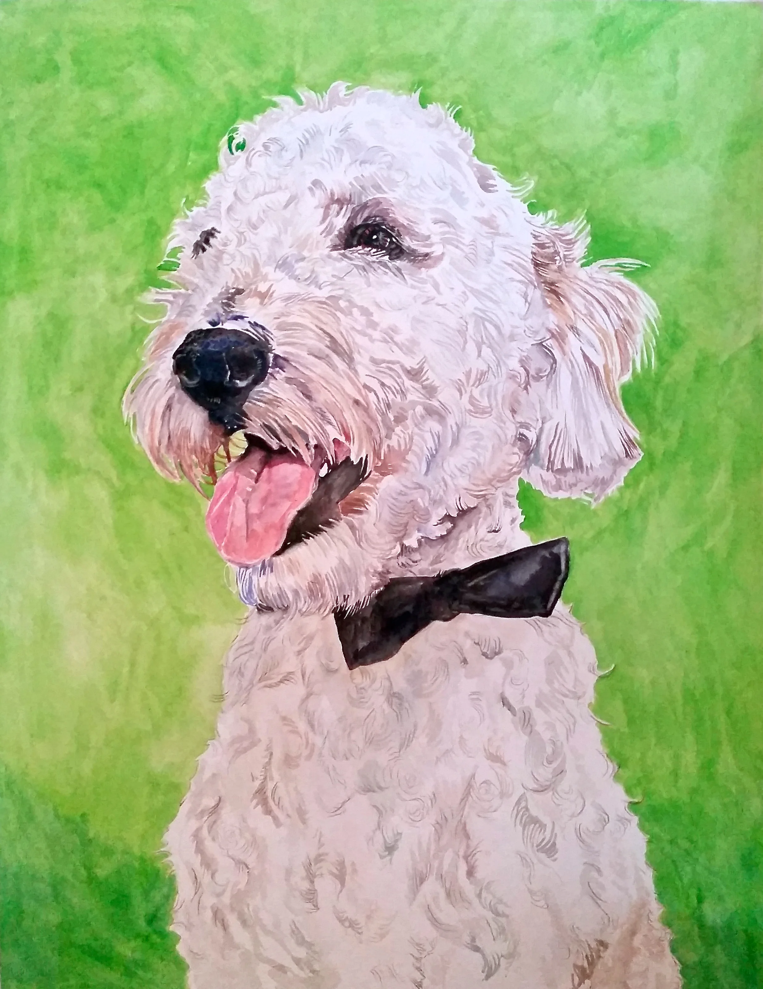 Cooper (Commission, 2015)
