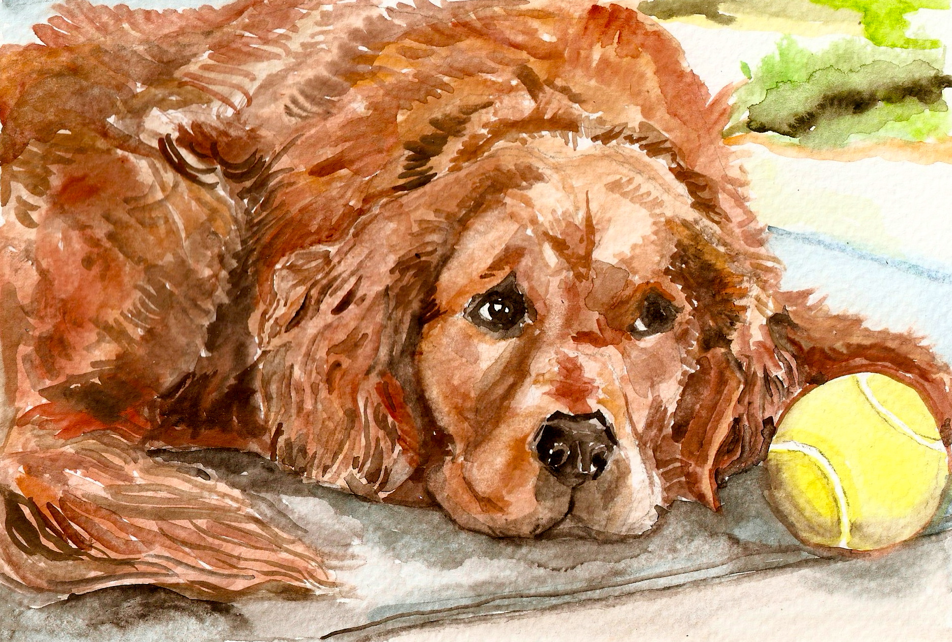 Jasper (Gift, 2014)