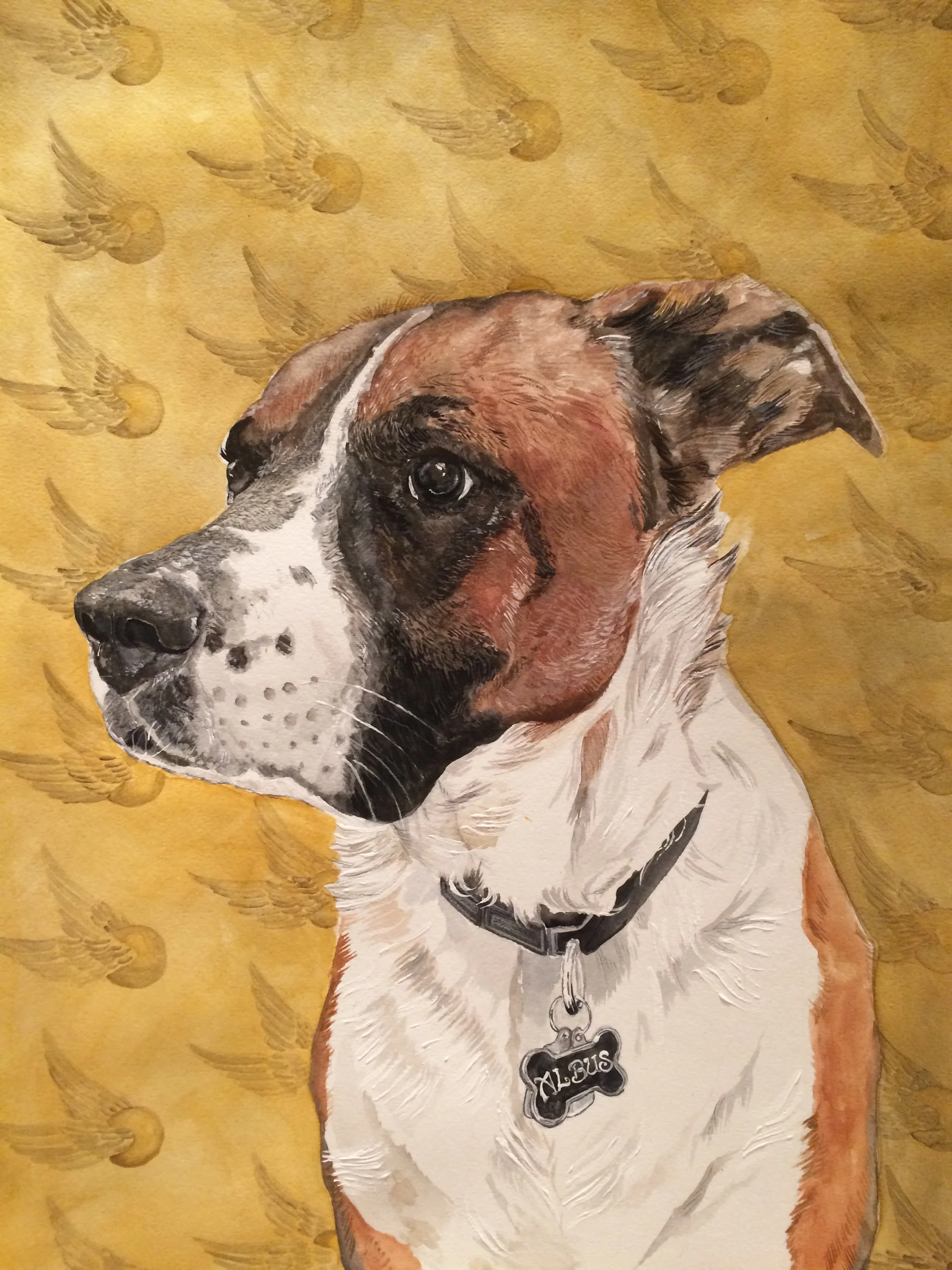 Albus (Commission, 2016)