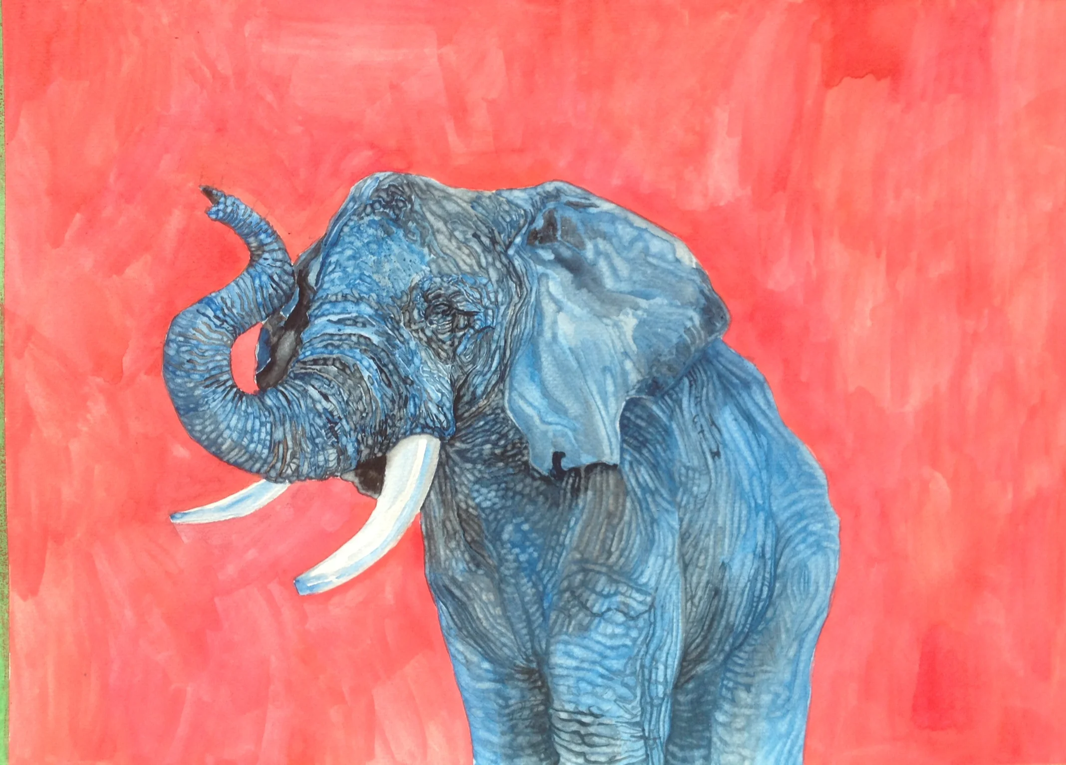 Elephant on Red (Commission, 2014)