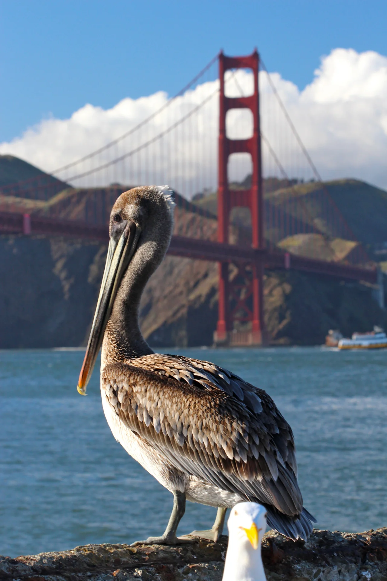 San Francisco, CA