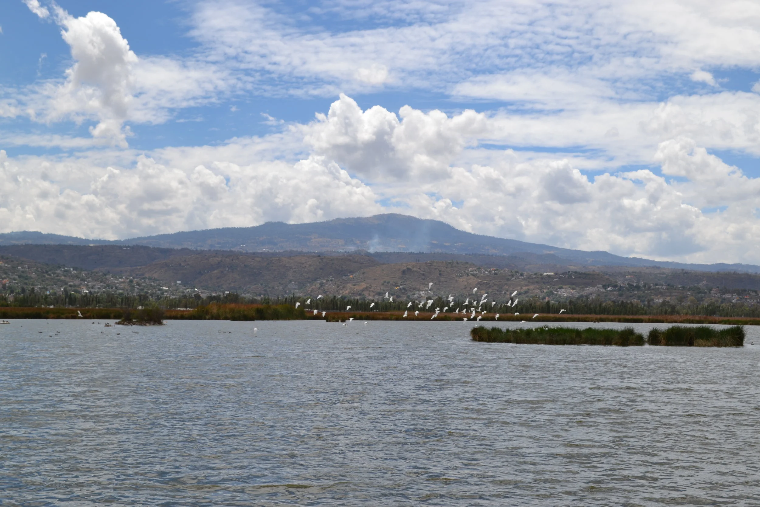 Gonzalo De La Rosa, Xochimilco, Wikimedia Commons