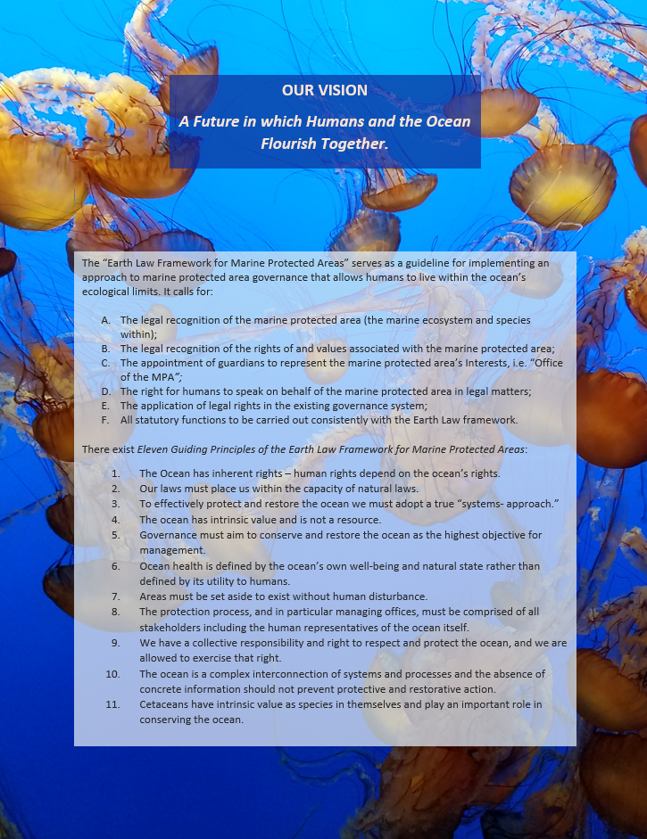 JellyfishFramework.png