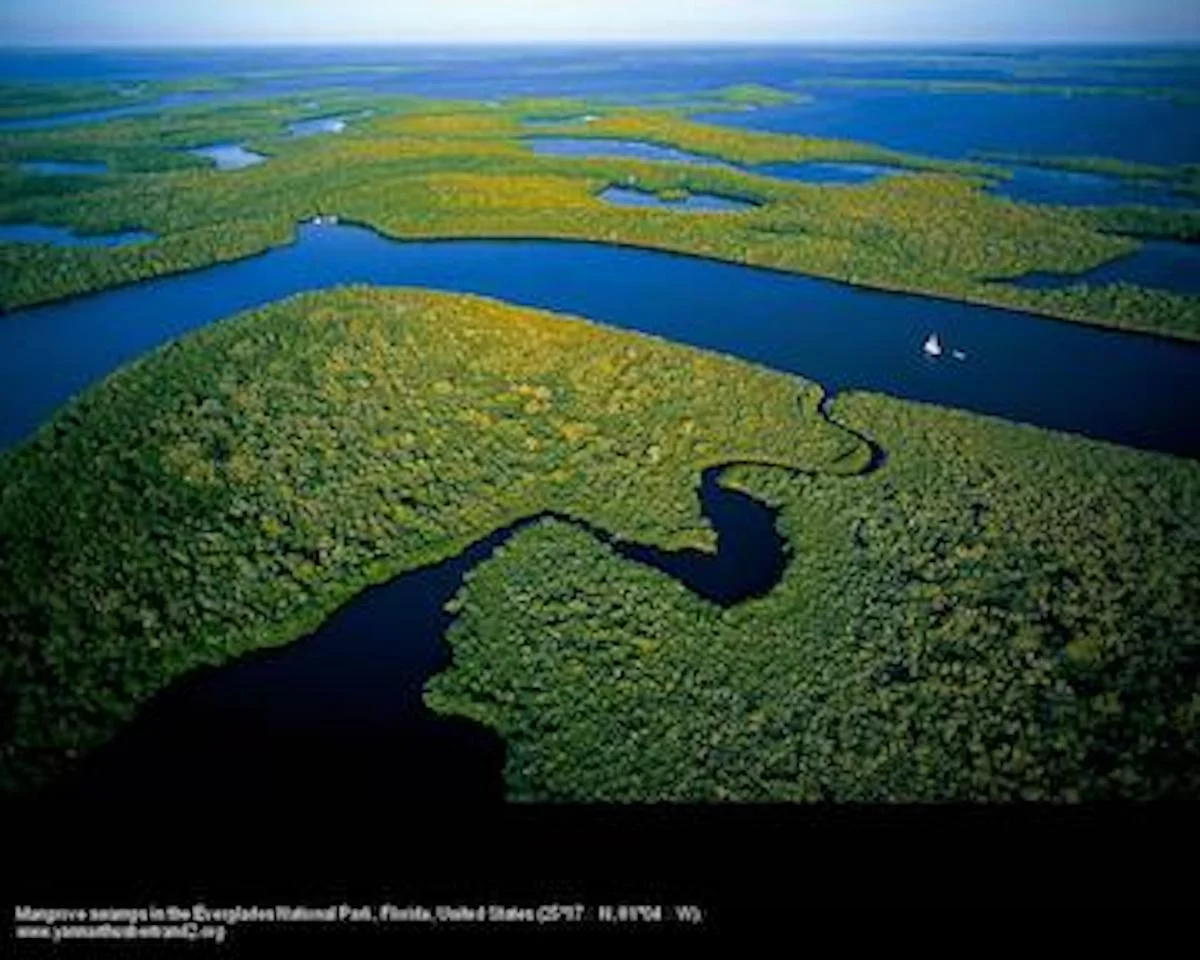 EXPO_TVDC_159 everglades.jpg