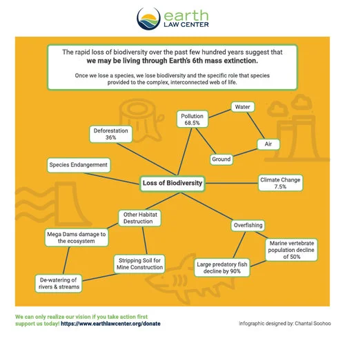 ELC_biodiversity_infographic (1).jpg