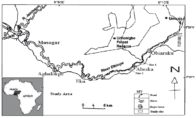 Map-of-the-Ethiope-River-showing-the-location-of-the-sampling-sites-Inset-Map-of.png