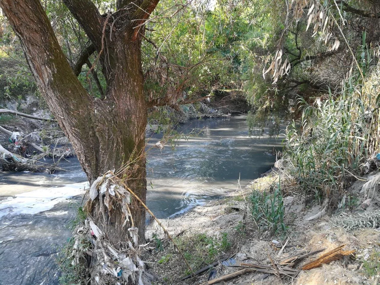The Atoyac River. Photo by Arnold Ricalde.