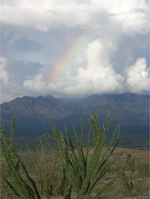 Santa Rita Mountains, Southern Arizona Photo by J. Brun