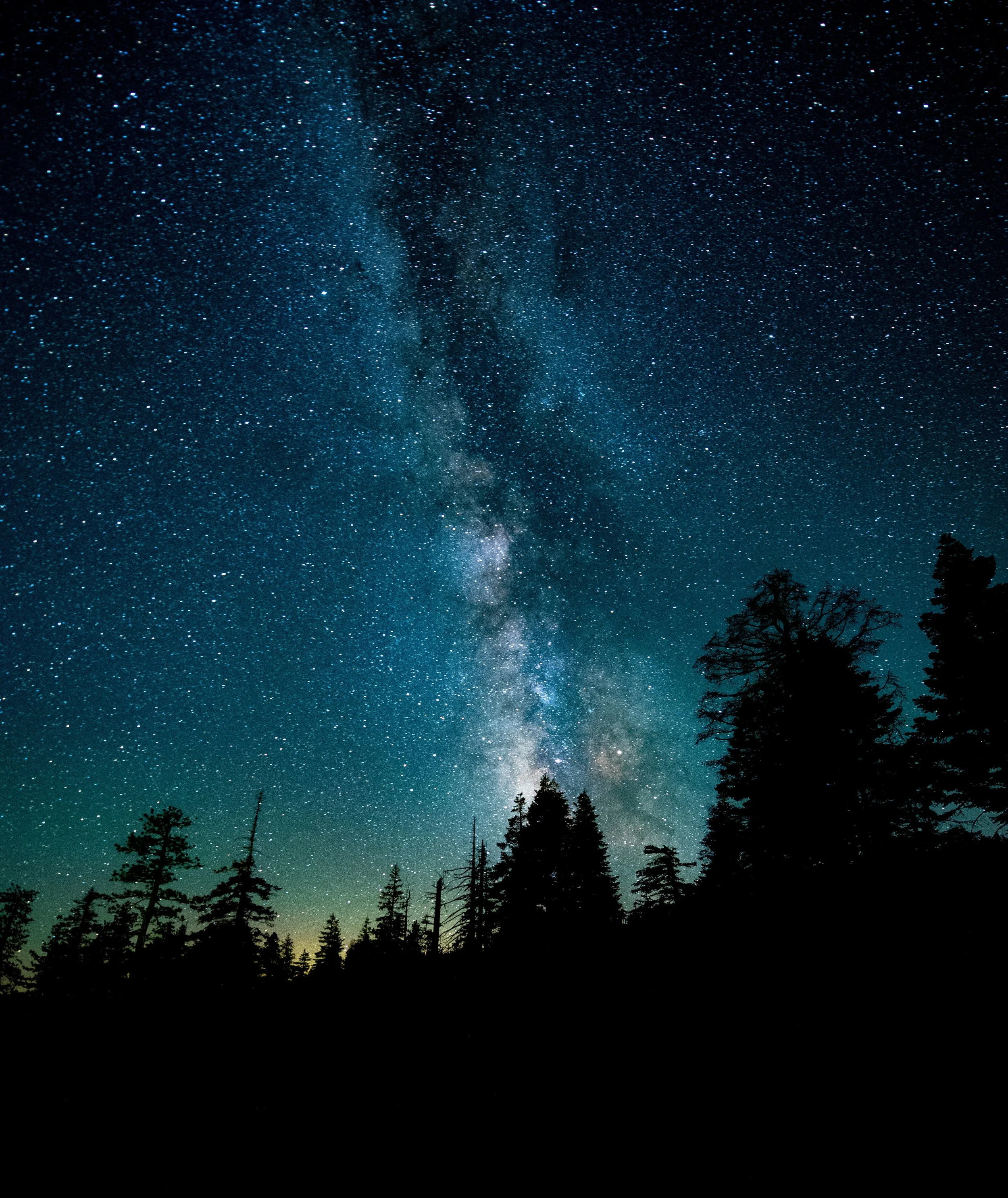 Night sky in Yosemite, California. Photo by Casey Horner