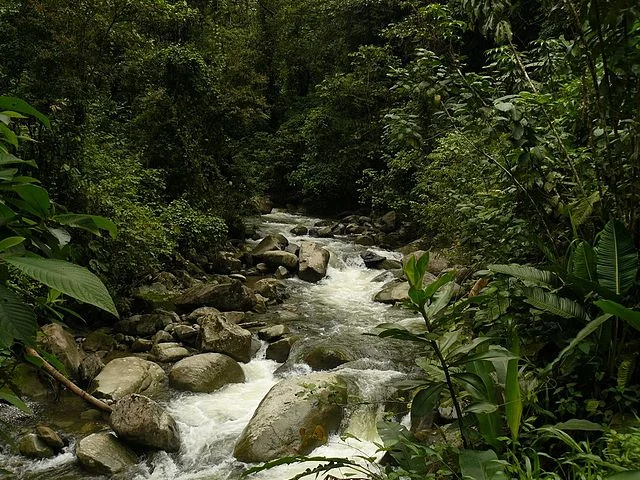 The Anchicayá River before it joins with the Digua River by Mateo Gable Wikimedia Commons