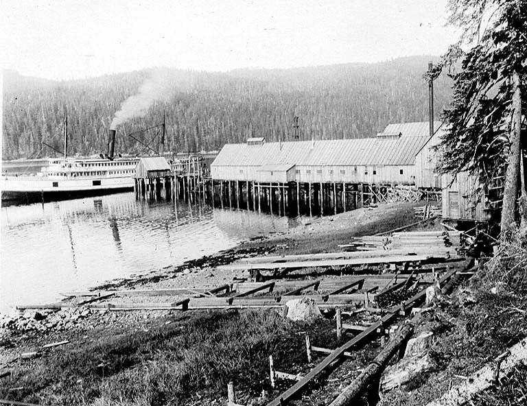 Source: John Cobb Field Handbook(University of Washington) content.lib.washington.edu/cobbwebb/index.html