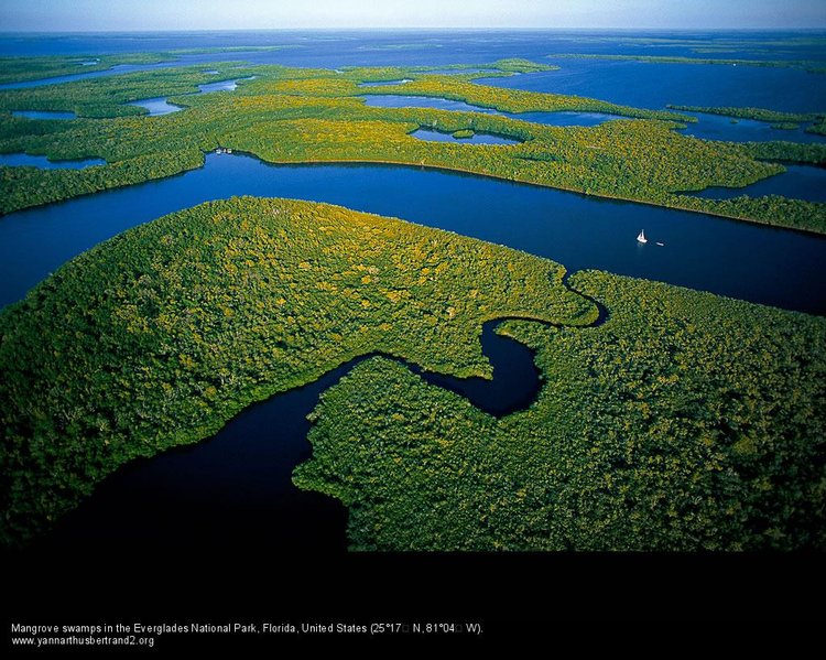 Earth Law Center | Champions for the Rights of Nature