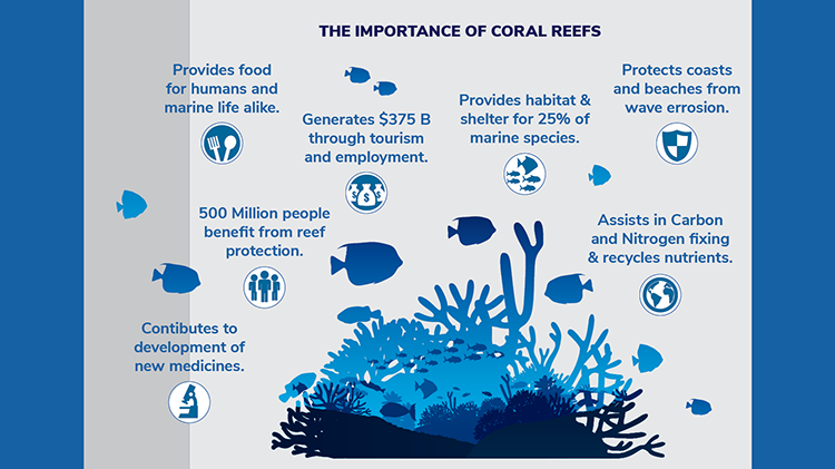 Coral-Reef-Infographic-04.png