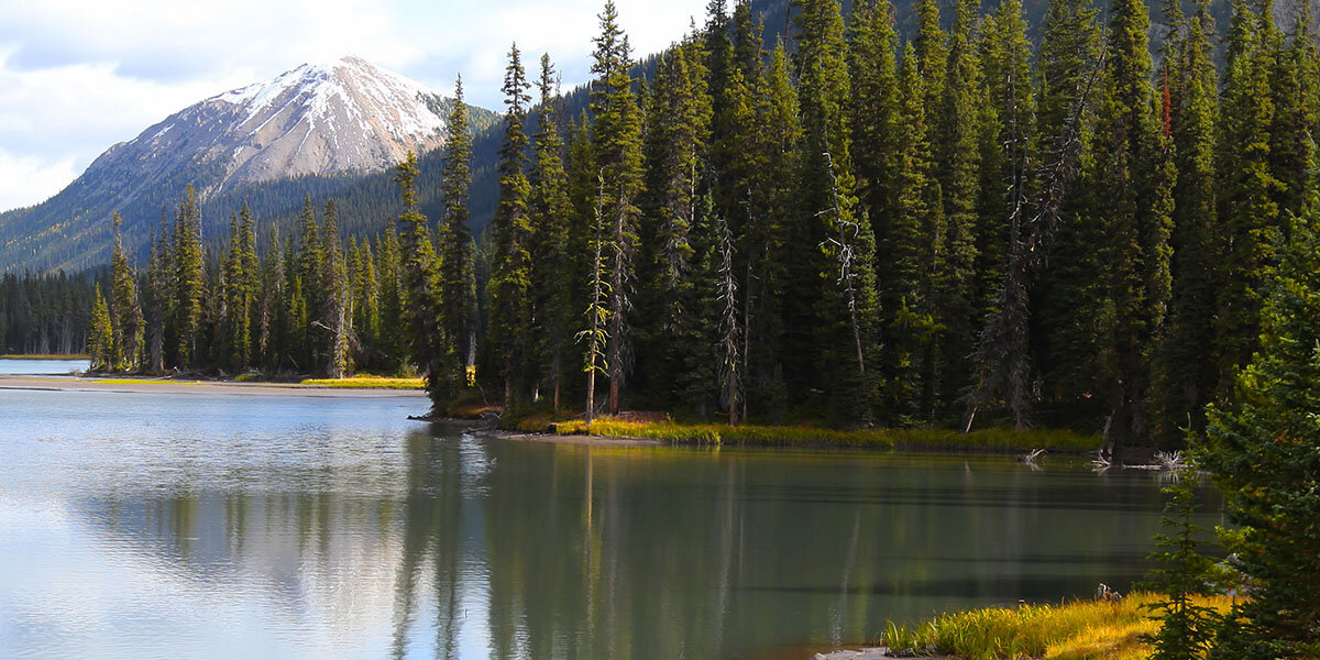 European Law Society advocates for the legal rights of animals, trees, and rivers
