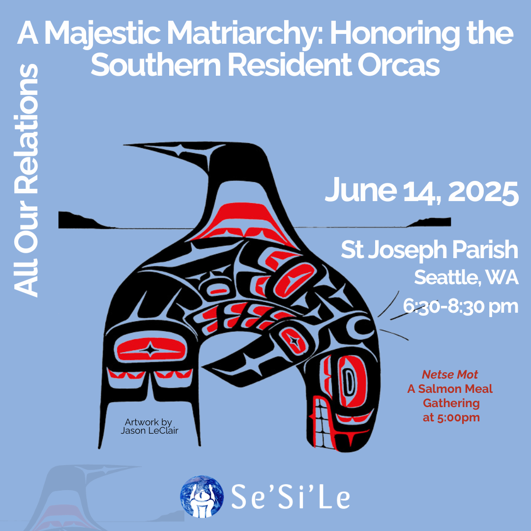 A Majestic Matriarchy: Honoring the Southern Resident Orcas