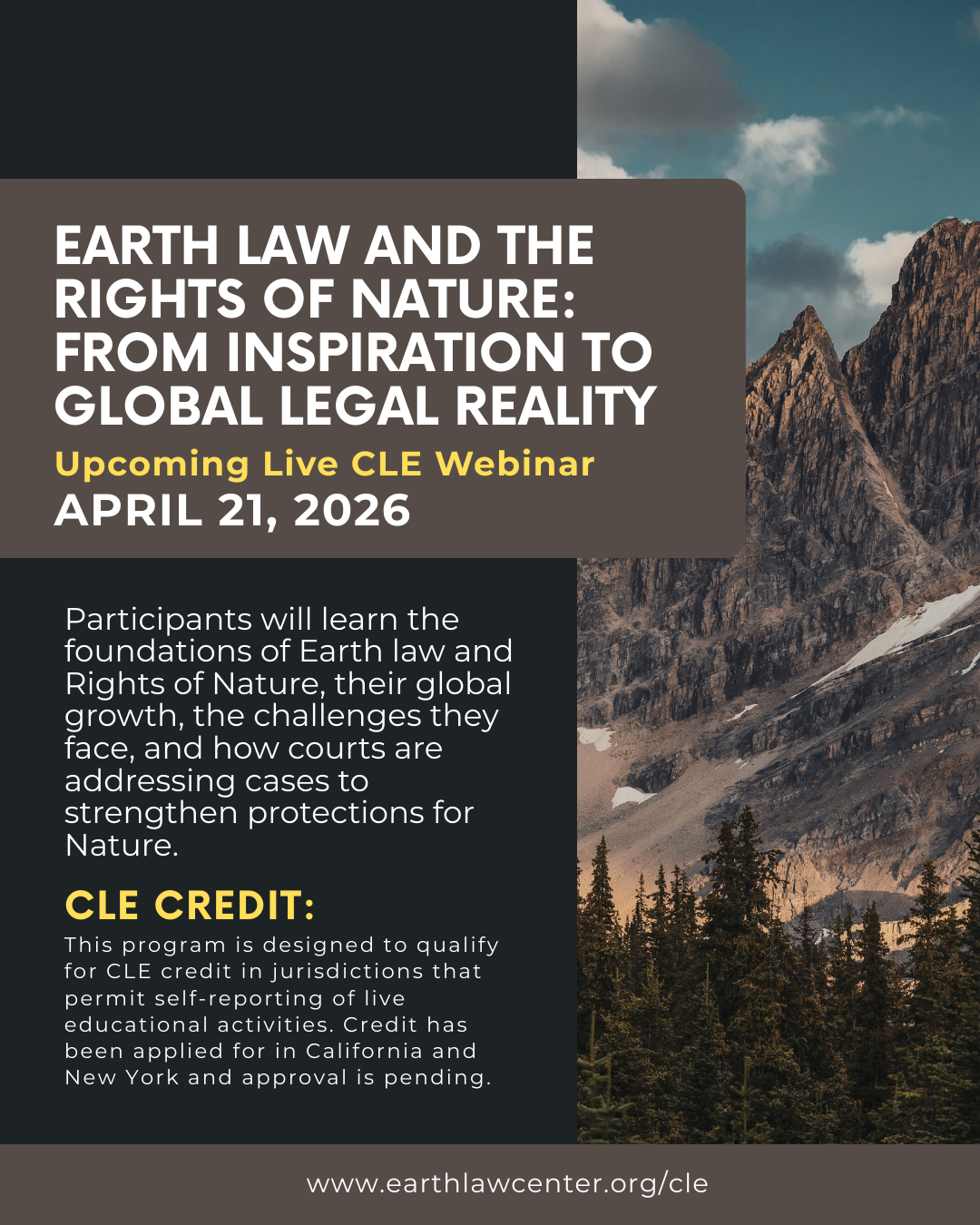 Earth Law and the Rights of Nature: From Inspiration to Global Legal Reality
