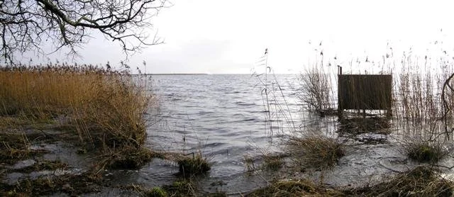 Lough Neagh: How Rights of Nature Could Restore a Lake and a Community